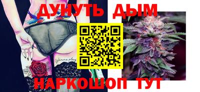скорость Кингисепп