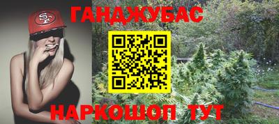 скорость Кингисепп