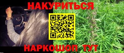 скорость Кингисепп