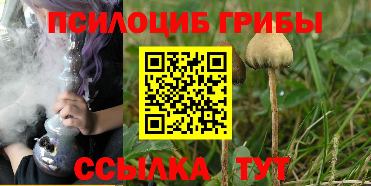 Псилоцибиновые грибы GOLDEN TEACHER Коркино