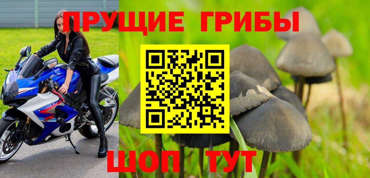 Коркино  Галлюциногенные грибы мухоморы  Галлюциногенные грибы Psilocybine cubensis  Вход с VPN 